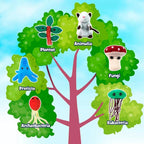 Kingdom of Life