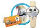 Knee Replacement