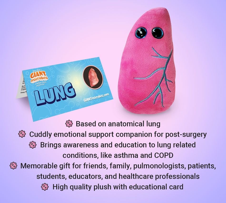 Lung