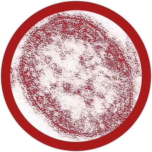 Measles keychain