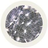 Bone Cell (Osteocyte)