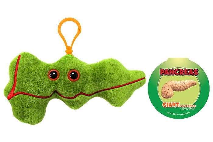 Pancreas Keychain