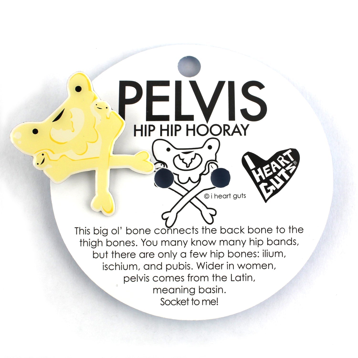 Pelvis Lapel Pin - You're So Hip