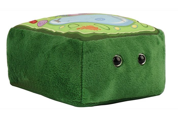 Plant Cell
