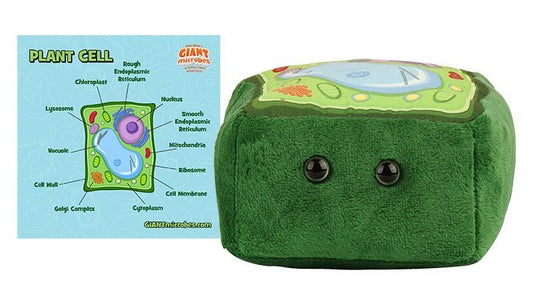 Plant Cell