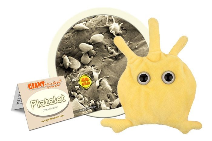 Platelet (Thrombocyte)