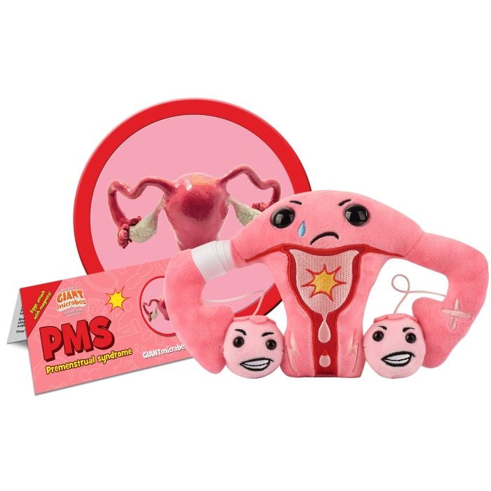 PMS Uterus