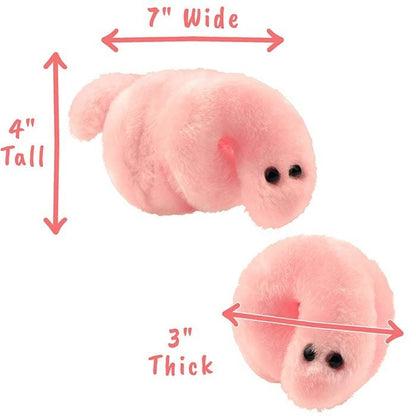 Pox - Syphilis (Treponema pallidum)