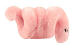 Pox - Syphilis (Treponema pallidum)