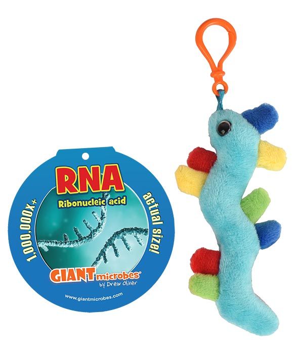 RNA Key Chain