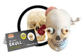 Deluxe Skull With Hidden Organs
