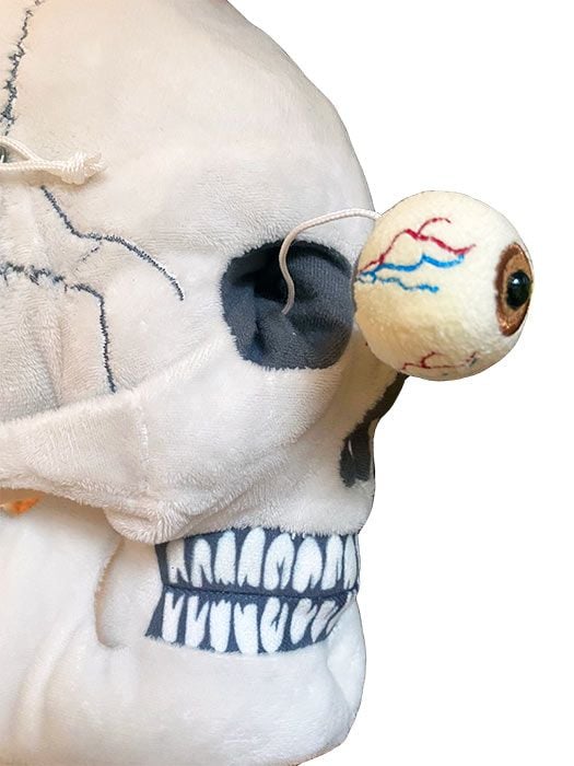 Deluxe Skull With Hidden Organs