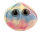 Stem Cell (Stem cell)
