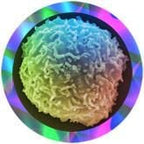 Stem Cell (Stem cell)