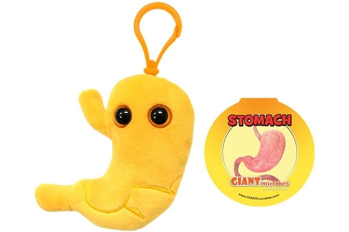 Stomach Key Chain