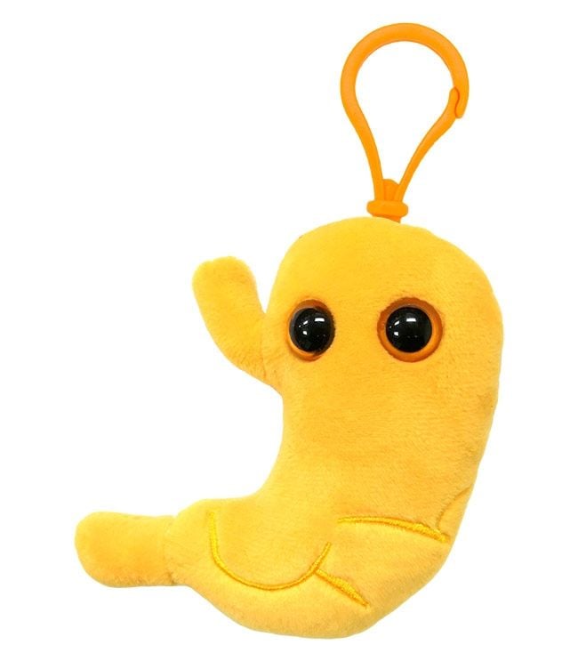 Stomach Key Chain