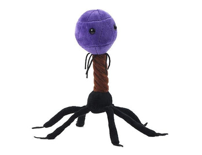 T4 (T4-Bacteriophage)