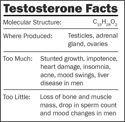 Estrogen