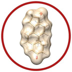 Testosterone