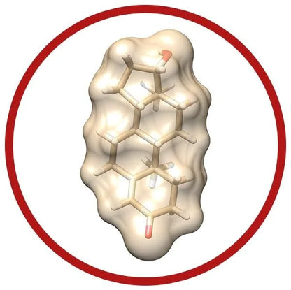 Testosterone