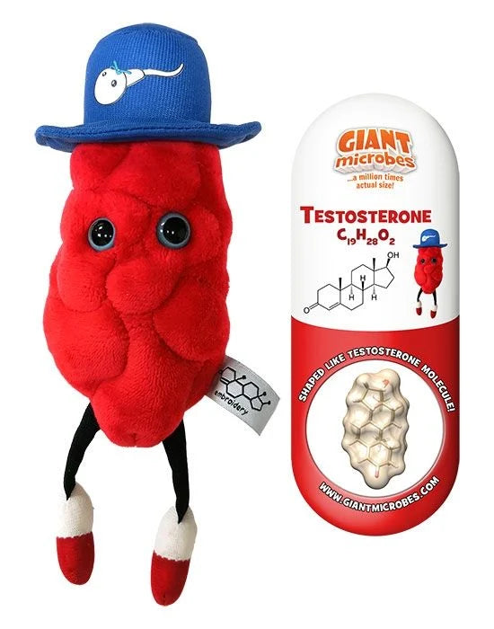 Testosterone
