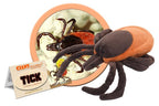 Tick (Ixodes Scapularis)