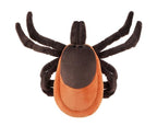 Tick (Ixodes Scapularis)