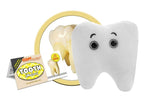 Tooth (Molar)