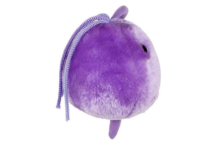 Trichomoniasis