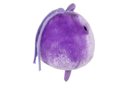 Trichomoniasis