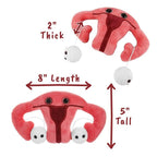 Uterus