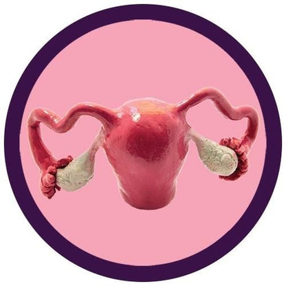 Uterus Gigantic 24"