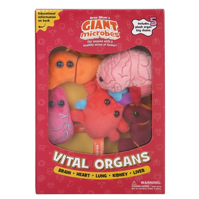 Vital Organs Box