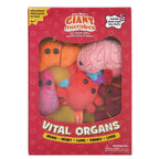 Vital Organs Box