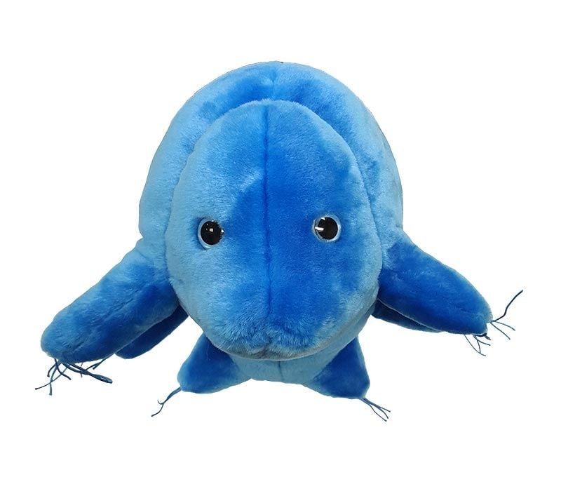 Waterbear Gigantic 15"