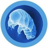 Waterbear Gigantic 15"