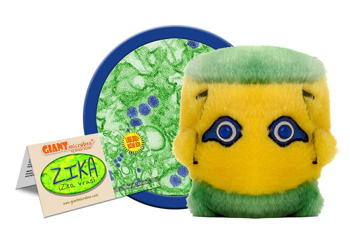 Zika (Zika Virus)