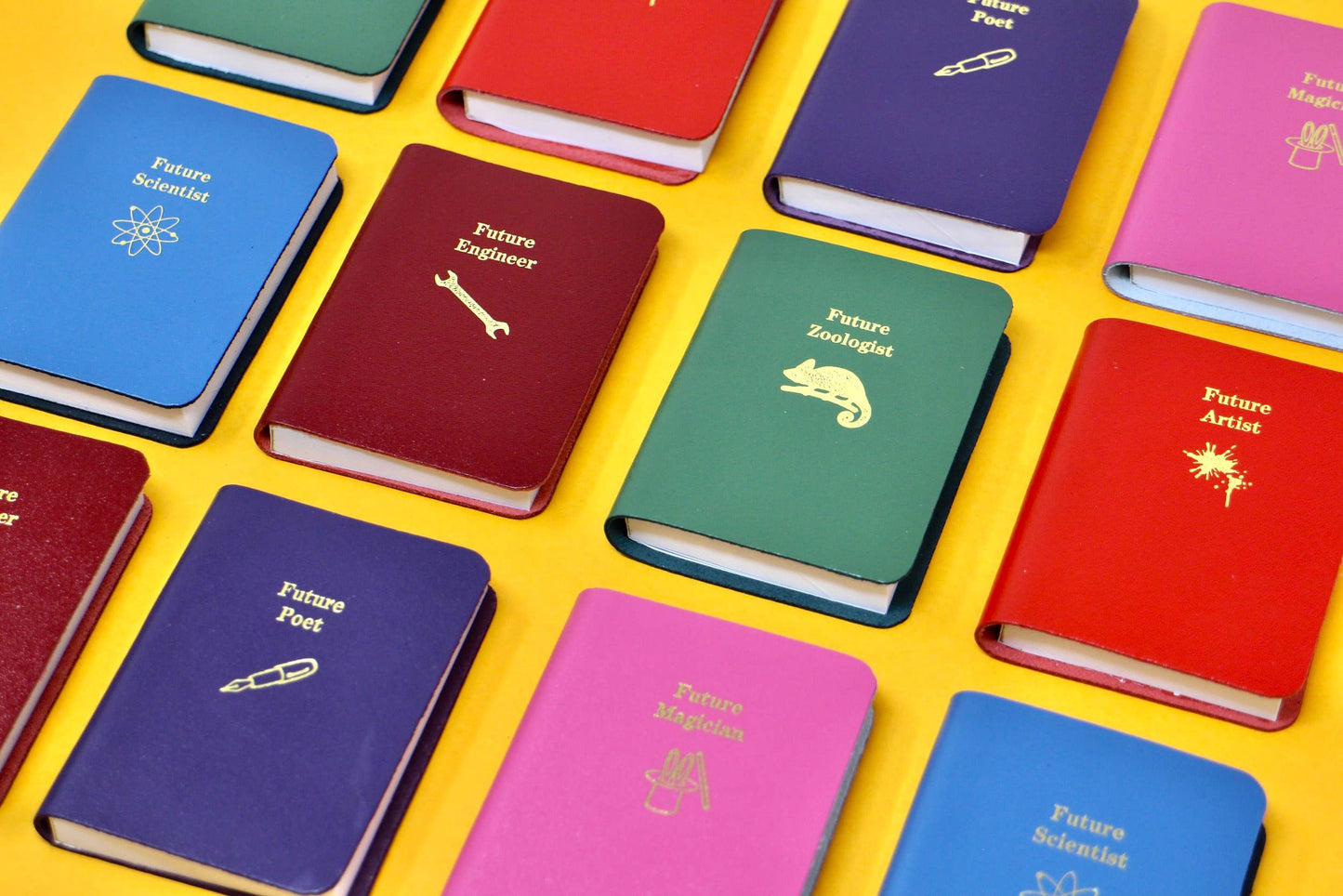 Future Mini Books