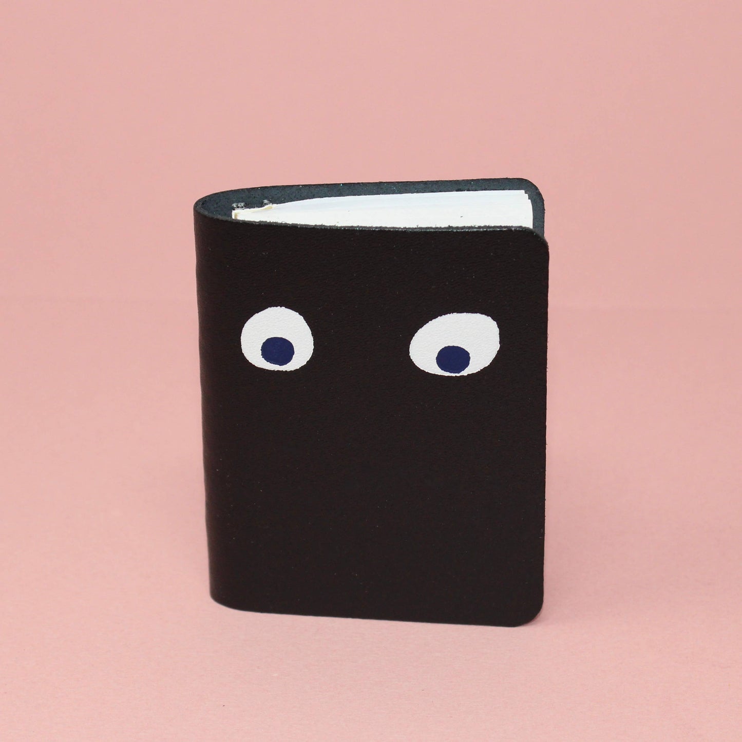 Googley Eye Mini Notebook