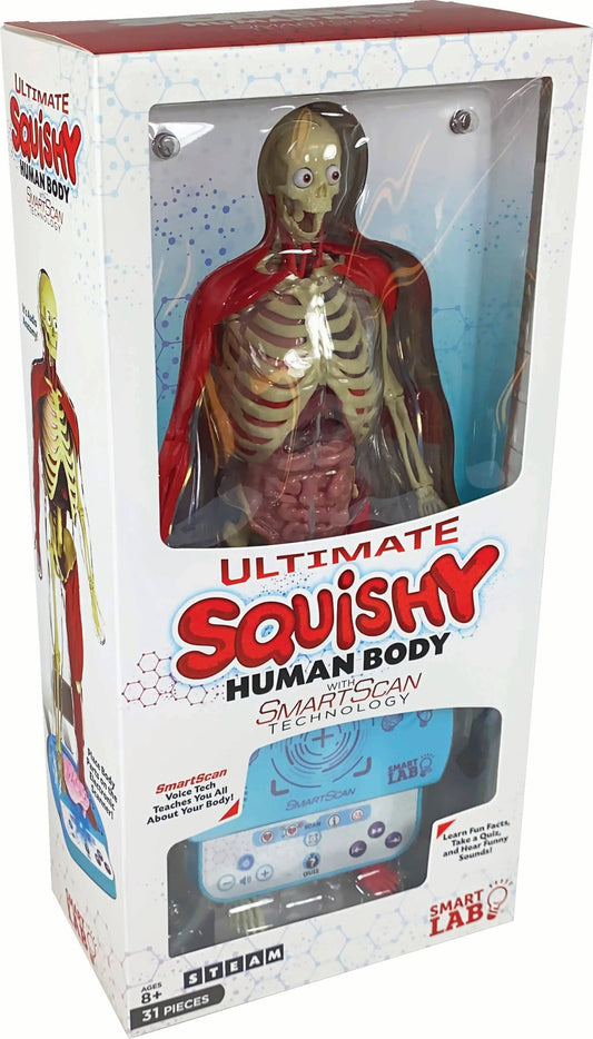 Ultimate Squishy Human Body Lab