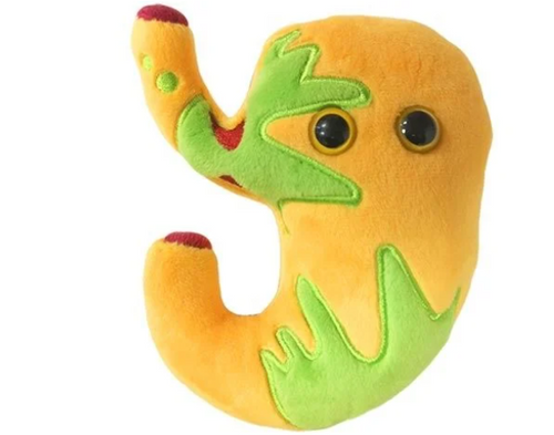 Acid Reflux