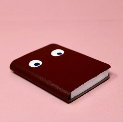 Googley Eye Mini Notebook