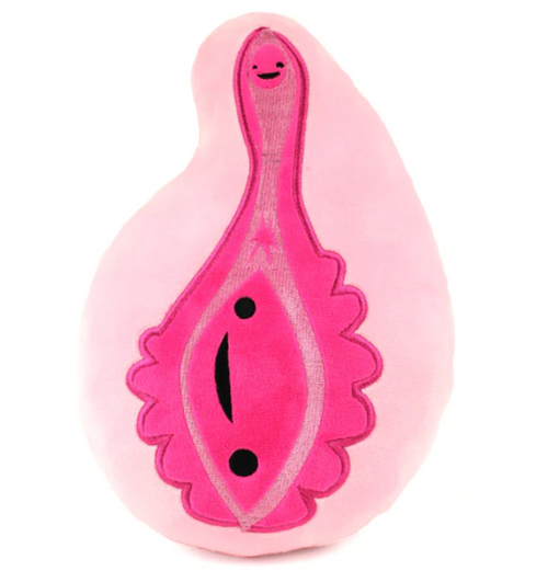 Vagina and Vulva Plushie The Amazing Body Store Vagina and Vulva Plushie The Amazing Body Store