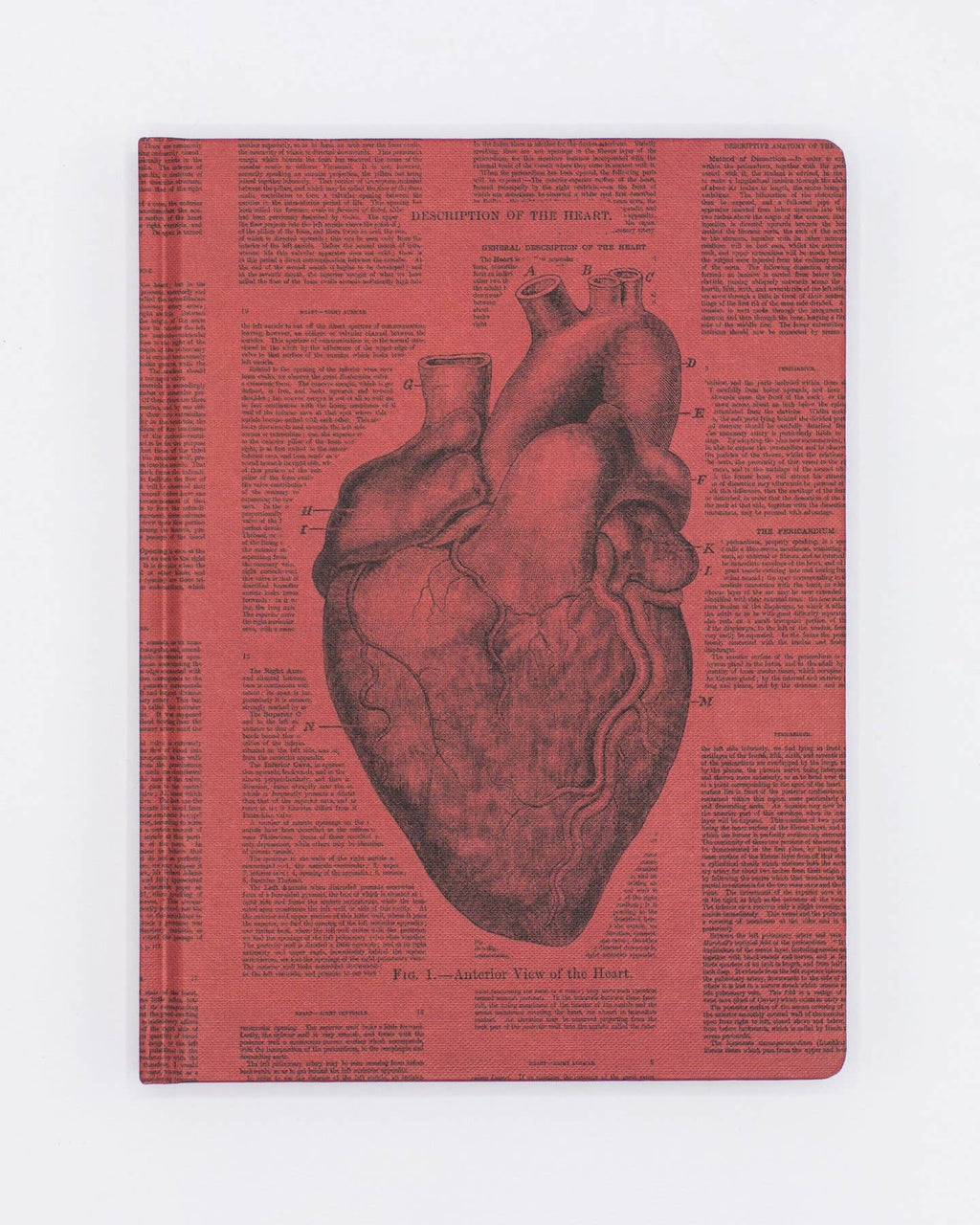 Anatomical Heart Hardcover - Lined/Grid Page Notebook