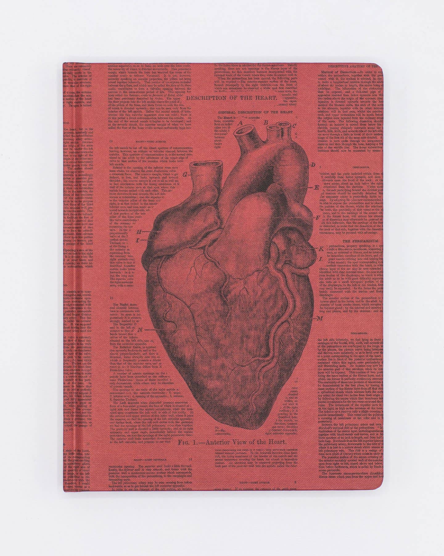 Anatomical Heart Hardcover - Lined/Grid Page Notebook