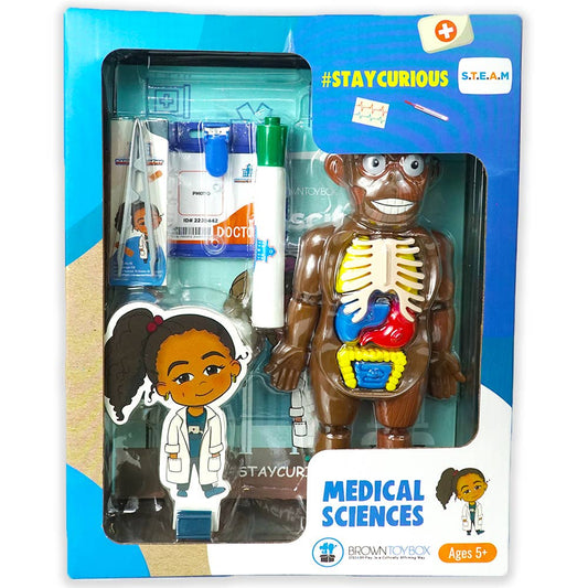 Haylee Medical Science STEAM Kit
